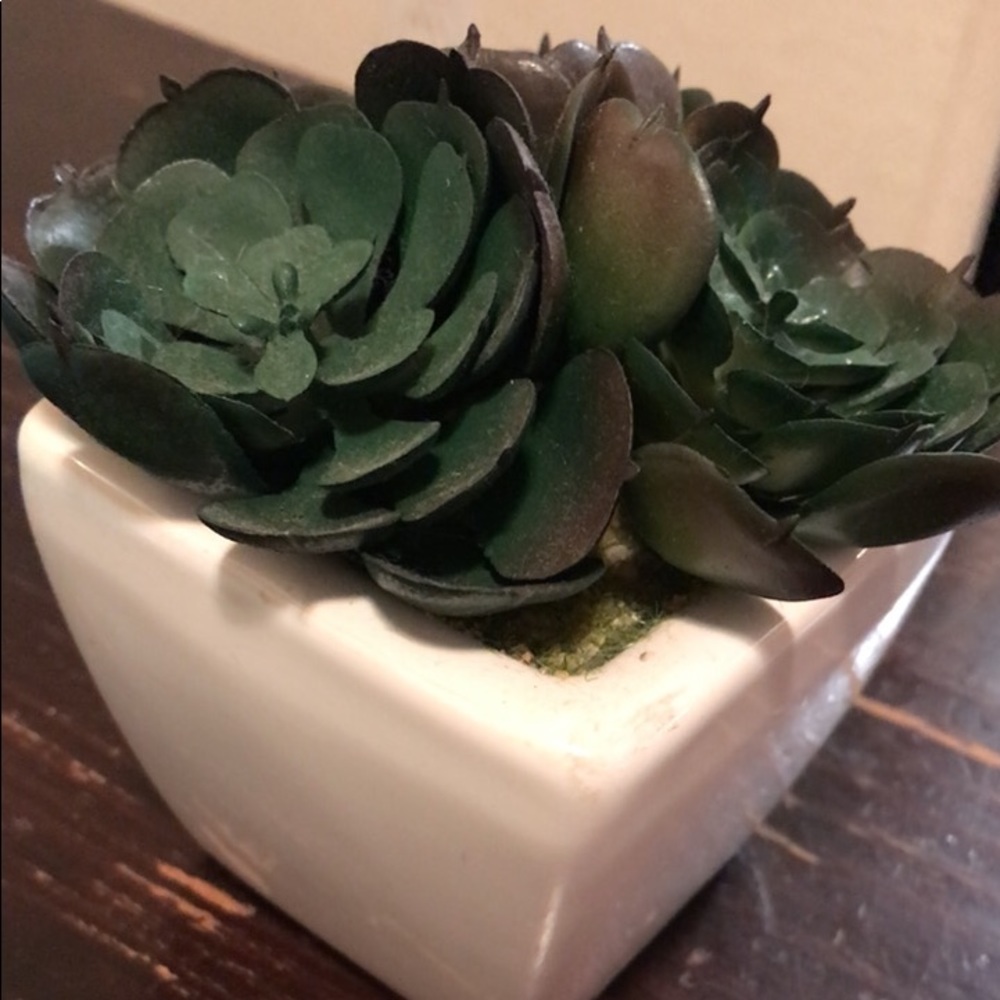 Artificial succulent